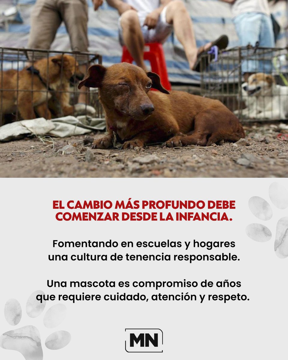 MeganoticiasMx's tweet image. 🐾🚨 Millones de animales viven entre violencia, abandono y enfermedad, mientras la falta de mecanismos legales y sociales efectivos permite que el problema siga creciendo en todo el país.

👉 Consulta la nota completa en el sitio web: tinyurl.com/mw4d4rmy