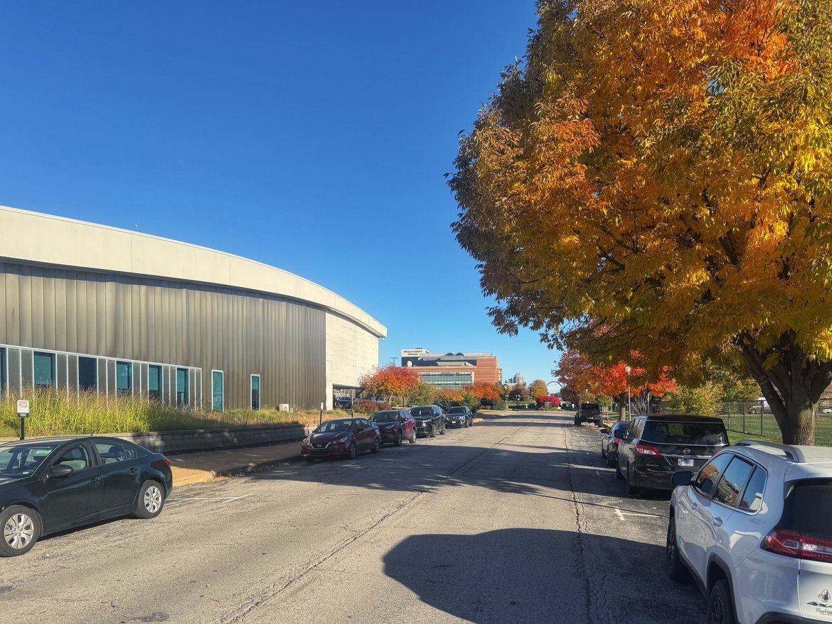 HSSUBasketball's tweet photo. RECRUITS: You’ll *fall for Harris-Stowe State University! HBCU, gorgeous campus, vibrant community, and in the shadow of St. Louis’ Gateway Arch!

Actively recruiting for the 2026 class. High school seniors, preps, transfers, internationals…we want to explore the fit with you! https://t.co/5NwkF8UGgb