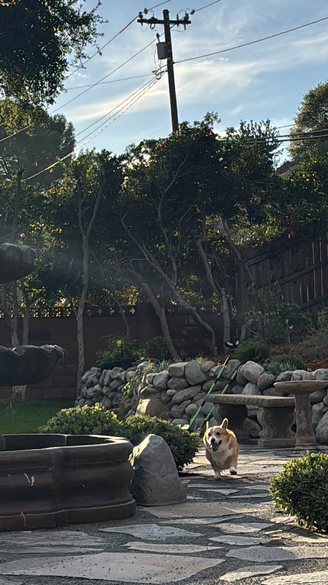 sabbath 🦋🌙 tweet media