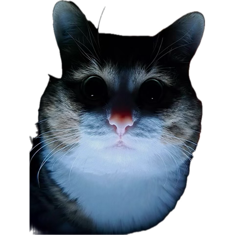 🌺 MissRae 🌺 tweet media