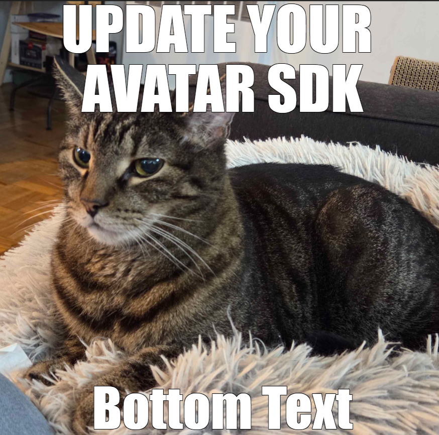 VRChat's tweet image. please