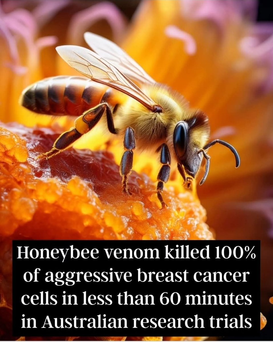 Colette Freiberg (@colettefreiberg) on Twitter photo 