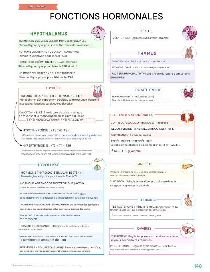 tatiann69922625's tweet image. Pour les non anglophones