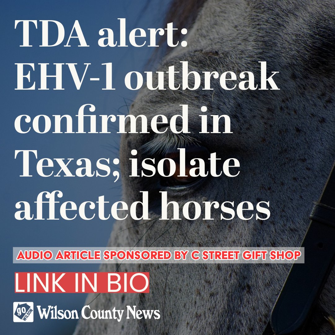 wcnonline's tweet image. TDA alert: EHV-1 outbreak confirmed in Texas; isolate affected horses 
wilsoncountynews.com/articles/tda-a…