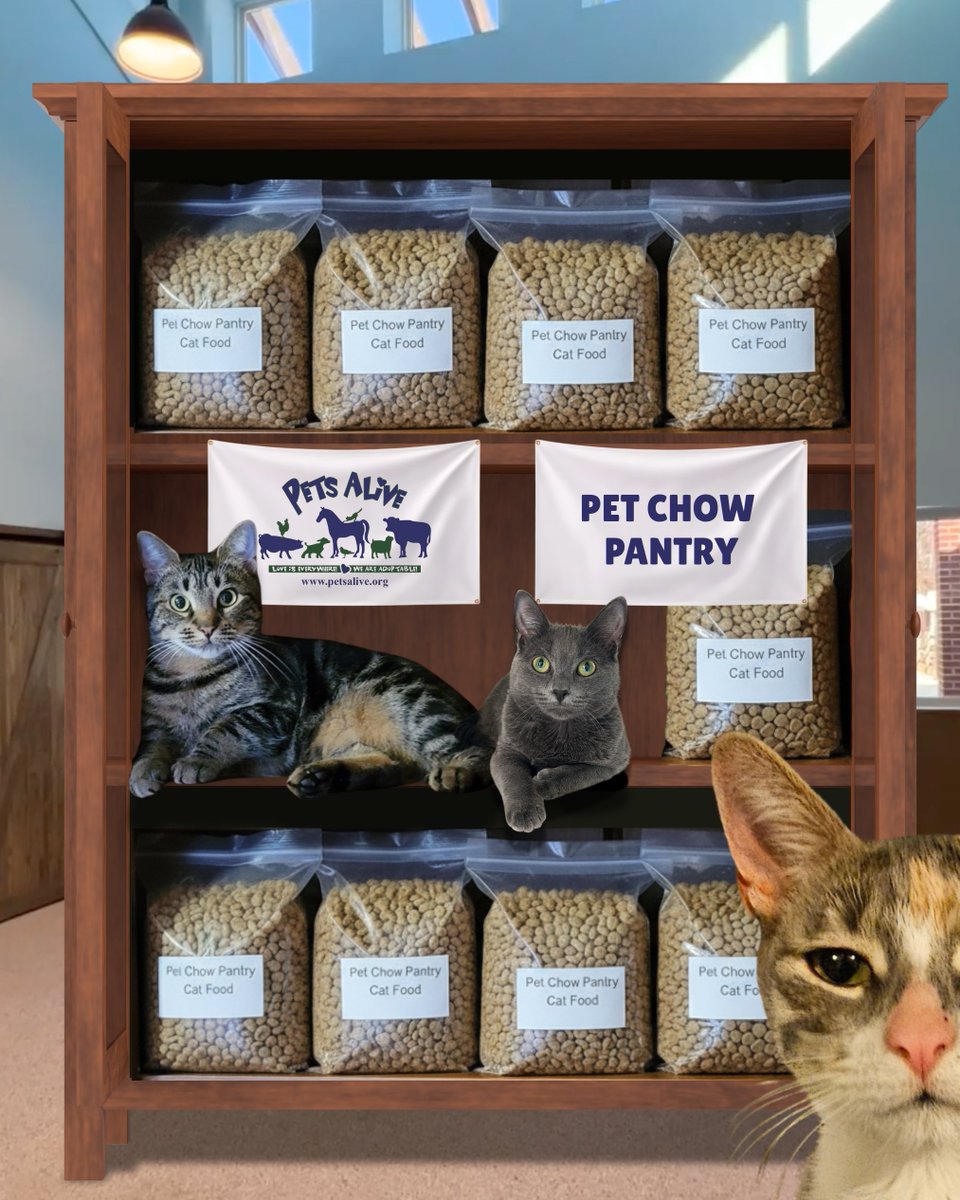 petsalive's tweet image. Petsgiving Spotlight: PA Pet Pantry 🐾
No family should ever choose between feeding themselves or their pets. Our pantry gives free pet food — no questions asked. Your support keeps bowls full, tails wagging, and pets with the families who love them. 
💙 ow.ly/A8y350Xt9M2