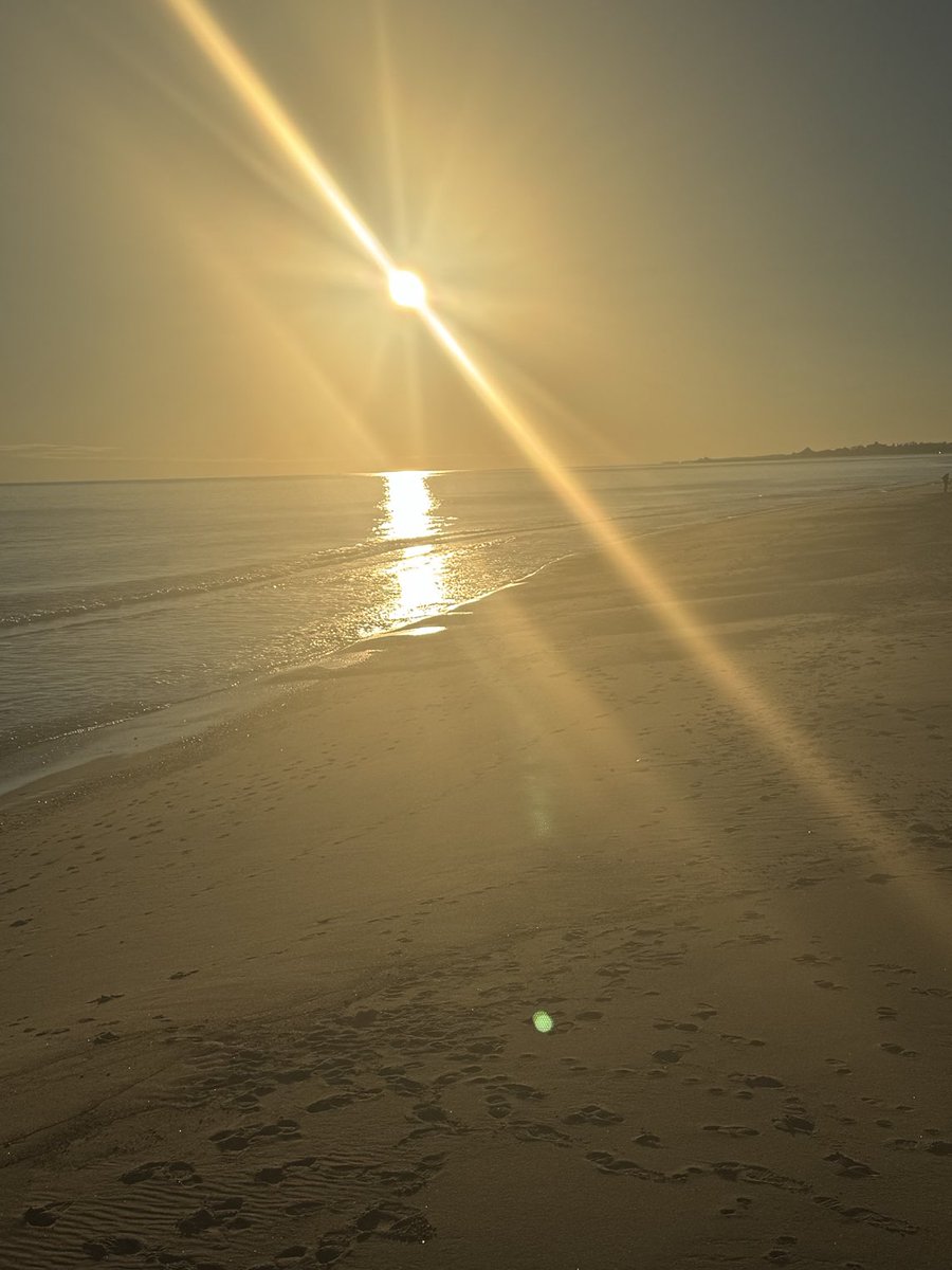 fluffernutter02's tweet image. I wish I could share just how beautiful it is here.