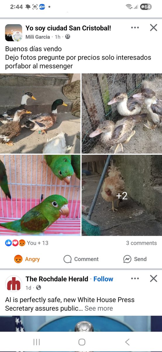 Mabi Rivera de Anleu tweet media