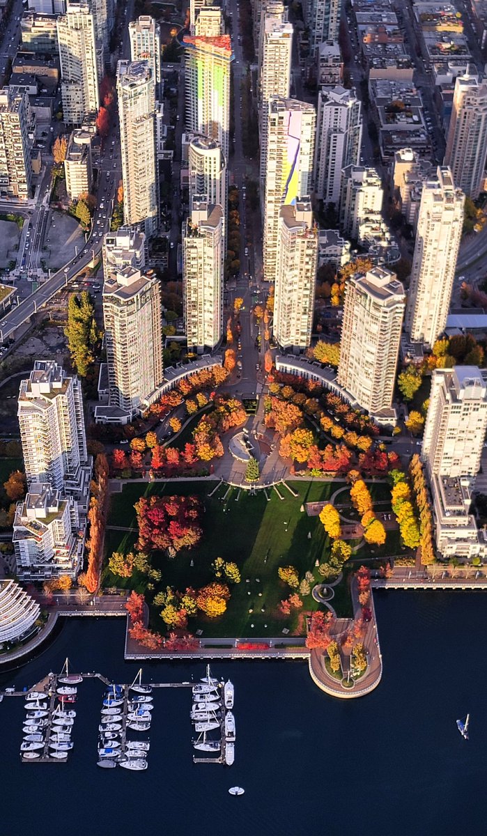 TrishJewison's tweet image. Hump Day photo dump around #Vancouver 📷