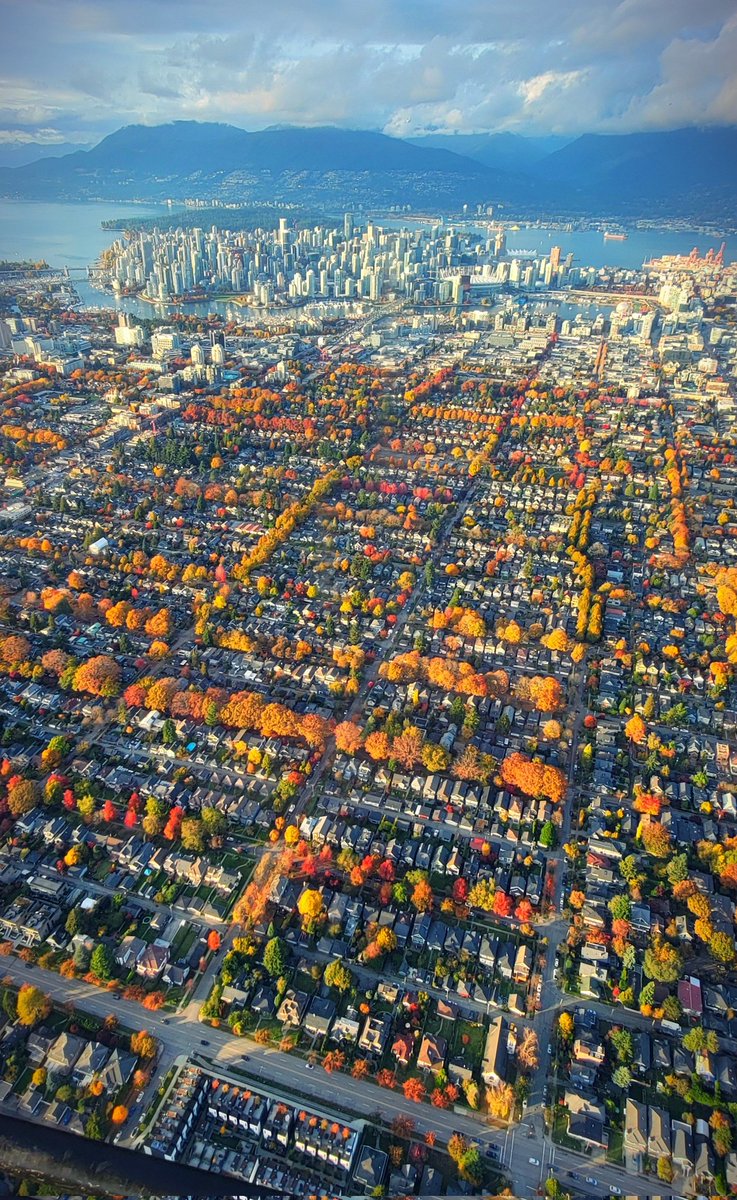 TrishJewison's tweet image. Hump Day photo dump around #Vancouver 📷