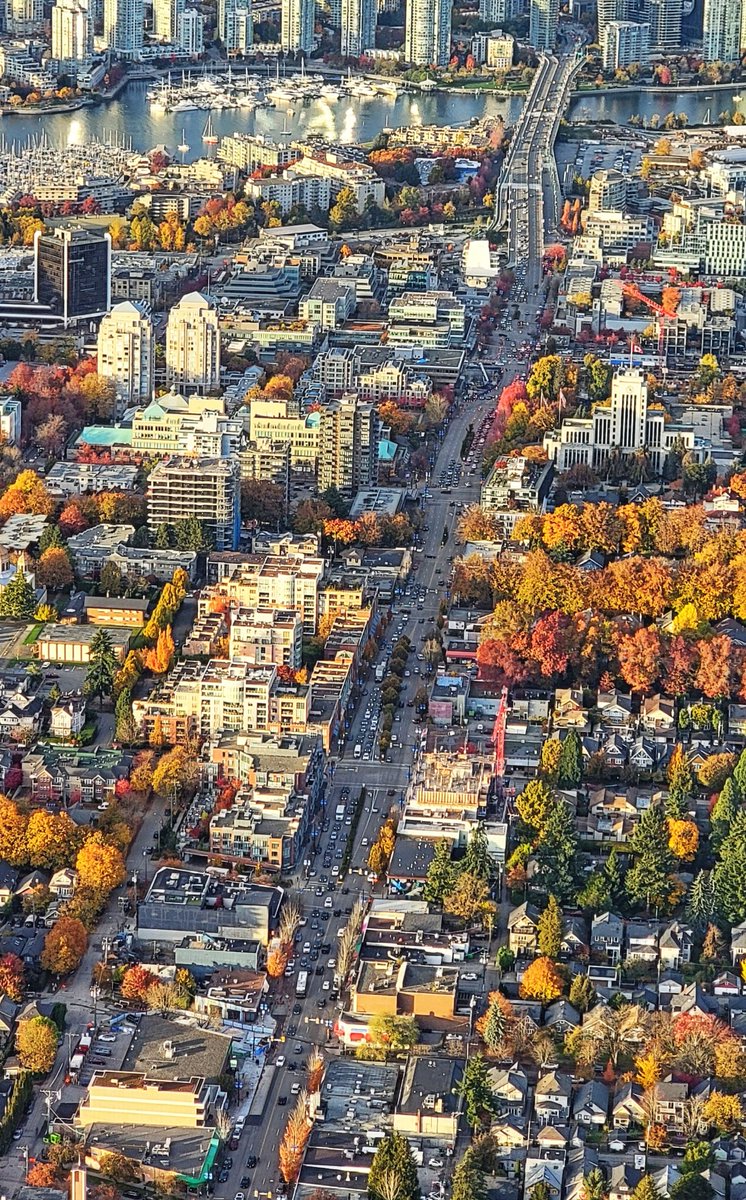 TrishJewison's tweet image. Hump Day photo dump around #Vancouver 📷