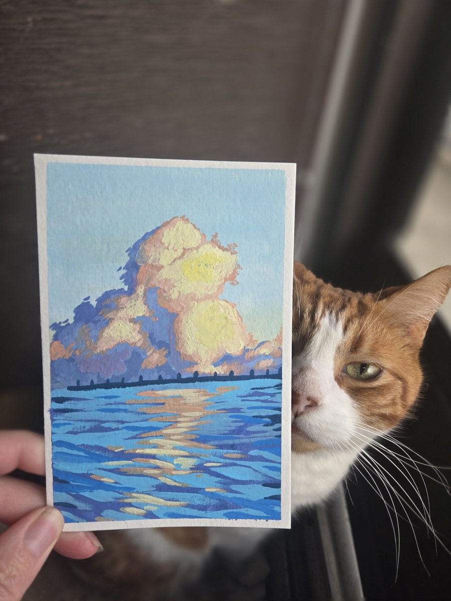 AhLaToad's tweet image. I saw a cloud on my way to work that looked like a duck a week back!

#gouache #clouds #duck