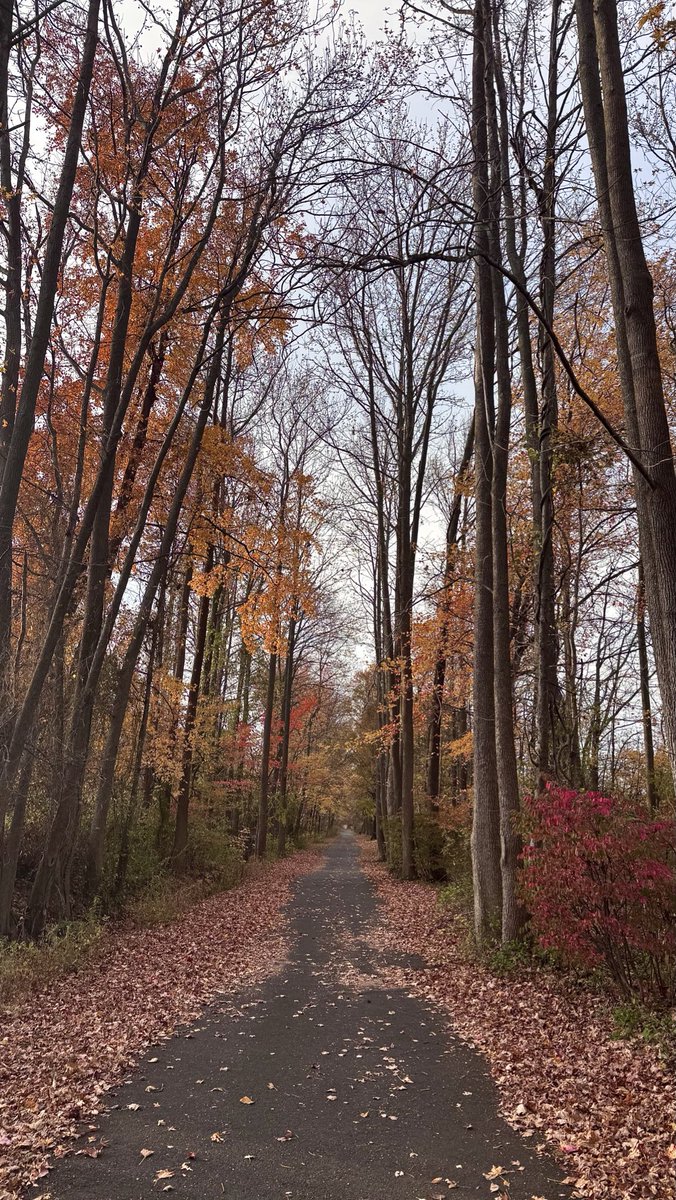 I am in love with November🍂