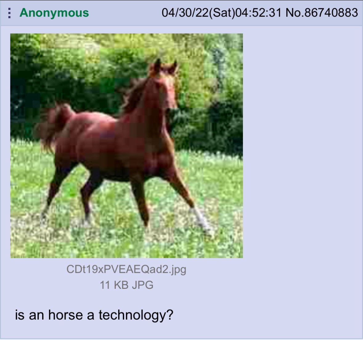 horseimage's tweet image. 