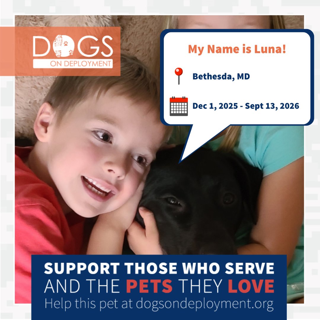 Dogs on Deployment tweet media