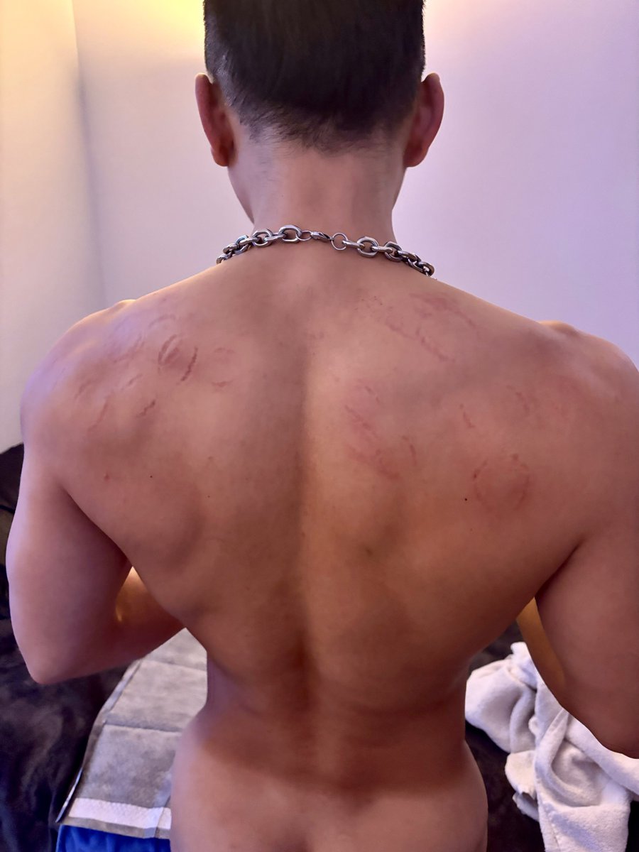 Bunny Ho tweet media