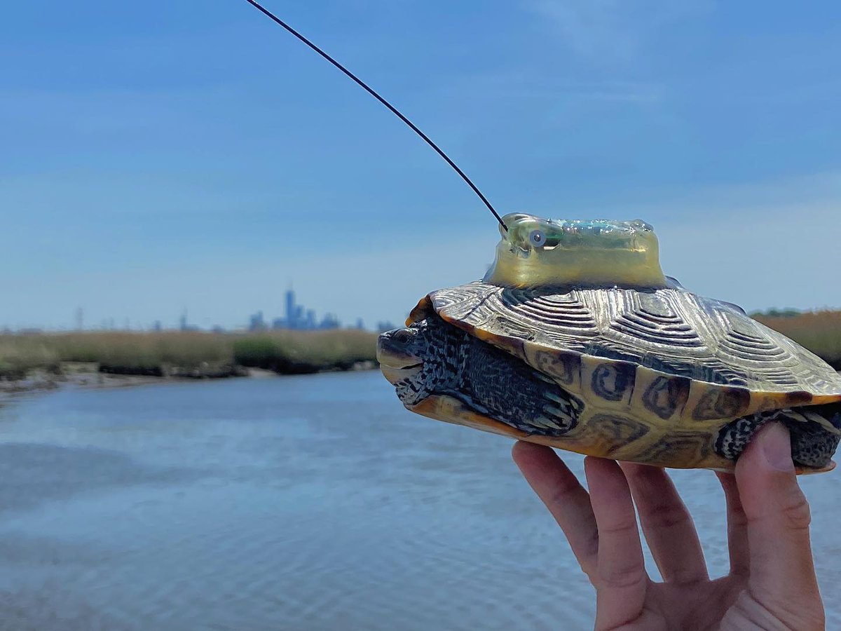 USGS Aquatic Life tweet media