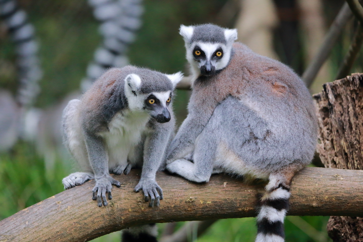 私たち、ラブラブです🧡
ってなって欲しいんだが🥰