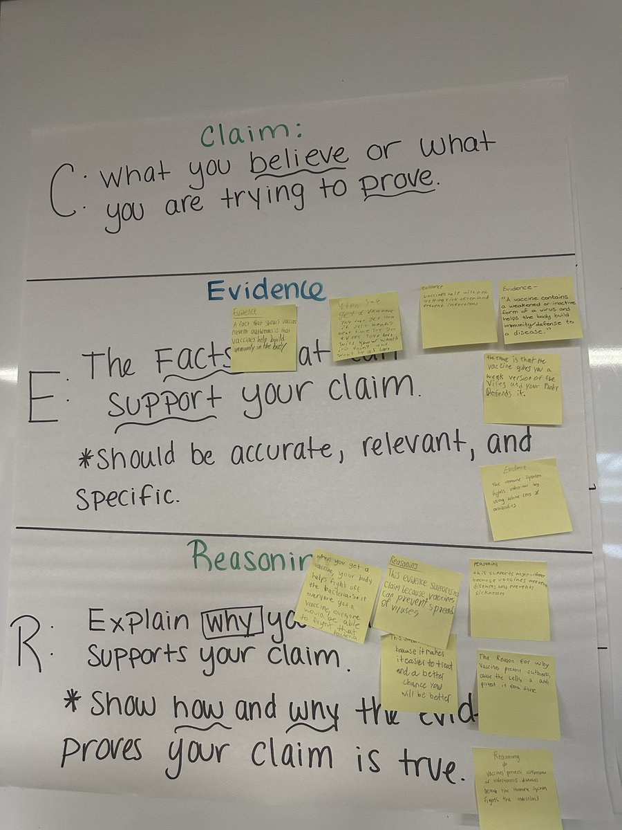 Caitlin Anetrella tweet media