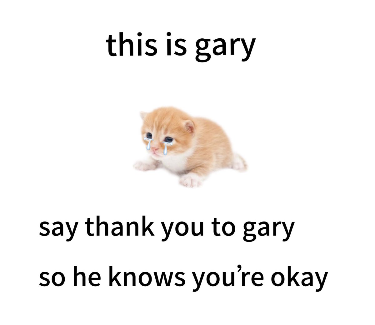 higary__'s tweet image. 