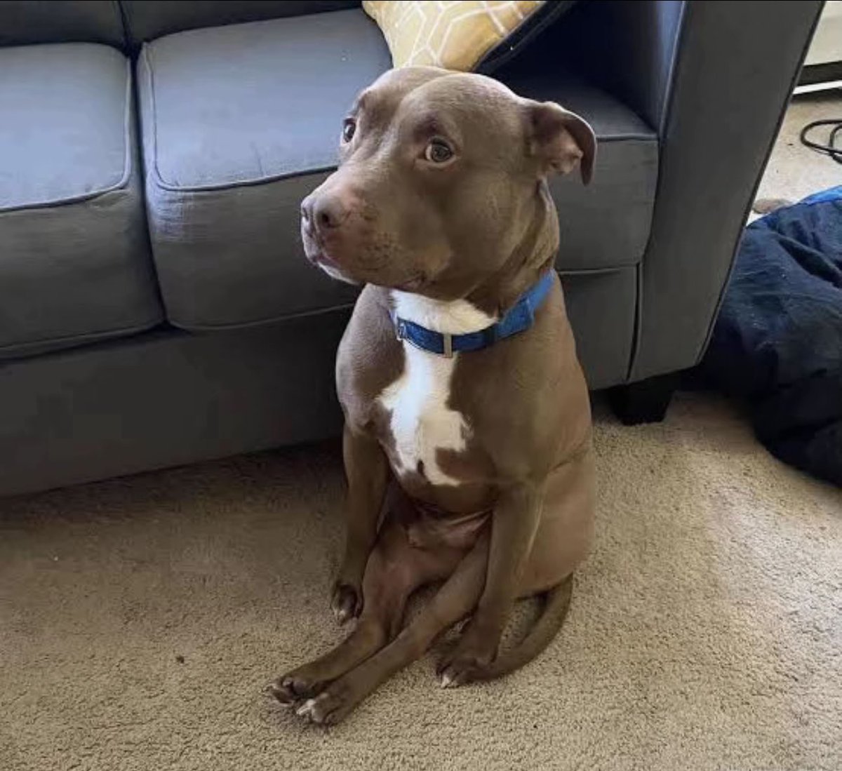 total crypto cap was down 4.4% today

most crying while i’m buying