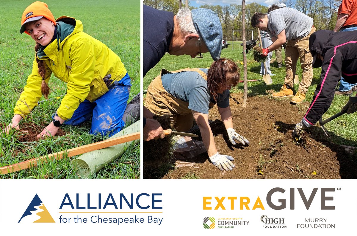 Are you ready for the ExtraGive on Friday? Here at the Alliance, we can't wait to celebrate our community-wide accomplishments with you! In our 54th year, our team of passionate experts made tree-mendous progress across the watershed.

We can’t achieve these milestones without