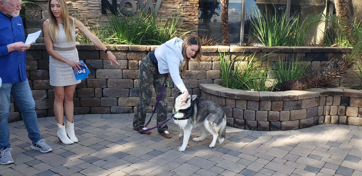 encdogguy's tweet image. Heather Lake and Shally Zomorodi introduced Adoptable Dogs from Rancho Coastal Humane Society on the FOX 5 San Diego Morning News. Polly Pocket and Loaded Piper are available NOW! Visit sdpets.org.  #fox5sandiego #adoptabledogs
 #shallyzomorodi #heatherlake