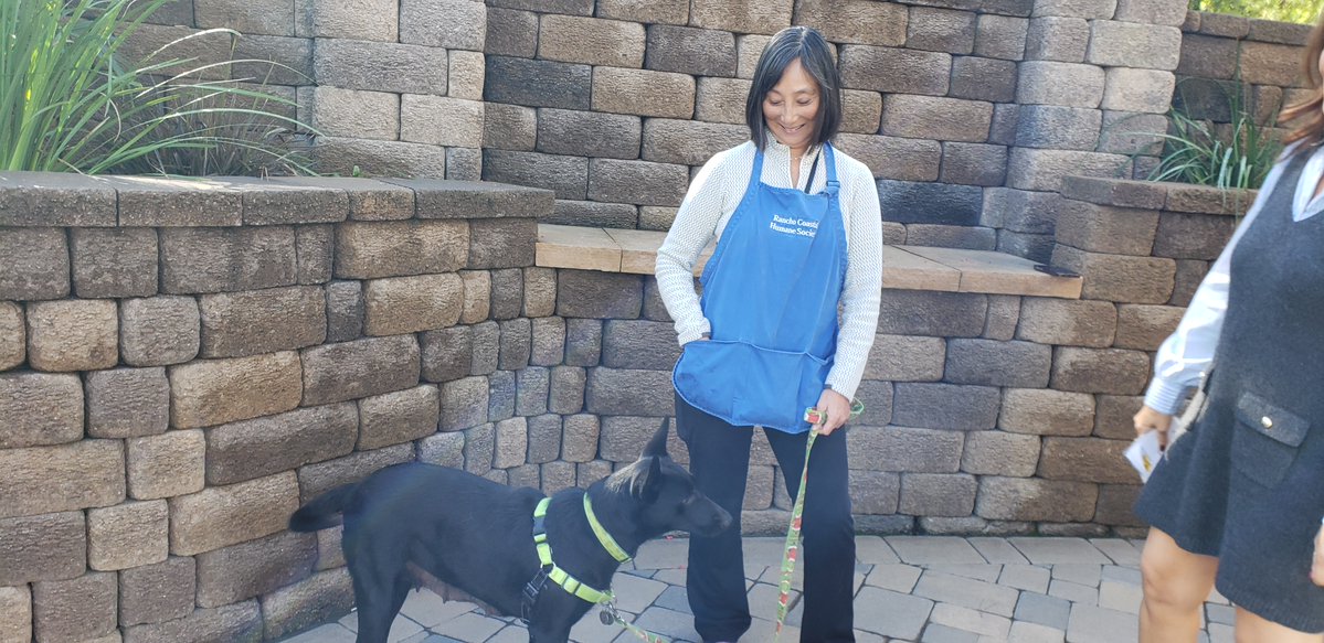 encdogguy's tweet image. Heather Lake and Shally Zomorodi introduced Adoptable Dogs from Rancho Coastal Humane Society on the FOX 5 San Diego Morning News. Polly Pocket and Loaded Piper are available NOW! Visit sdpets.org.  #fox5sandiego #adoptabledogs
 #shallyzomorodi #heatherlake