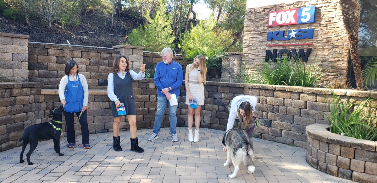 encdogguy's tweet image. Heather Lake and Shally Zomorodi introduced Adoptable Dogs from Rancho Coastal Humane Society on the FOX 5 San Diego Morning News. Polly Pocket and Loaded Piper are available NOW! Visit sdpets.org.  #fox5sandiego #adoptabledogs
 #shallyzomorodi #heatherlake