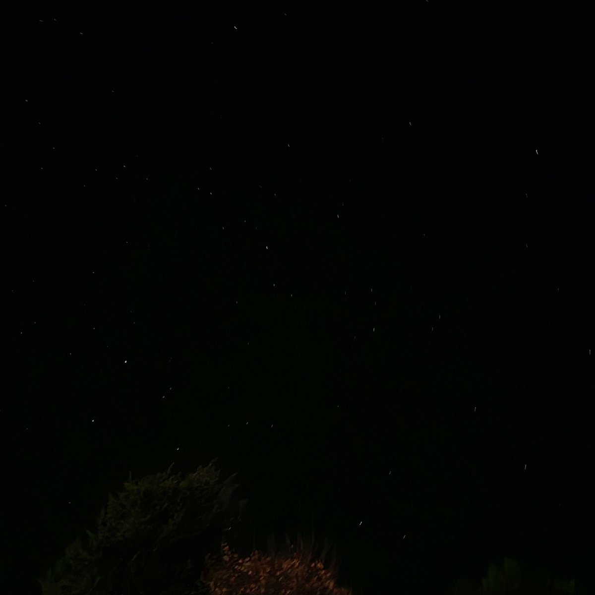 foundincrement's tweet image. 👣👣🧘‍♂️✨️✨️