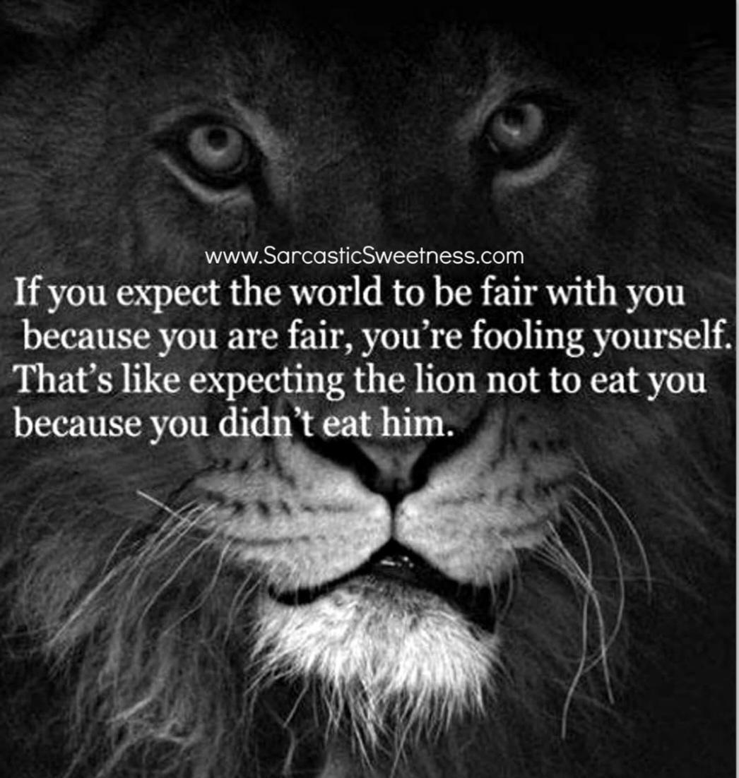 Gilda65 (@sschoonys) on Twitter photo 