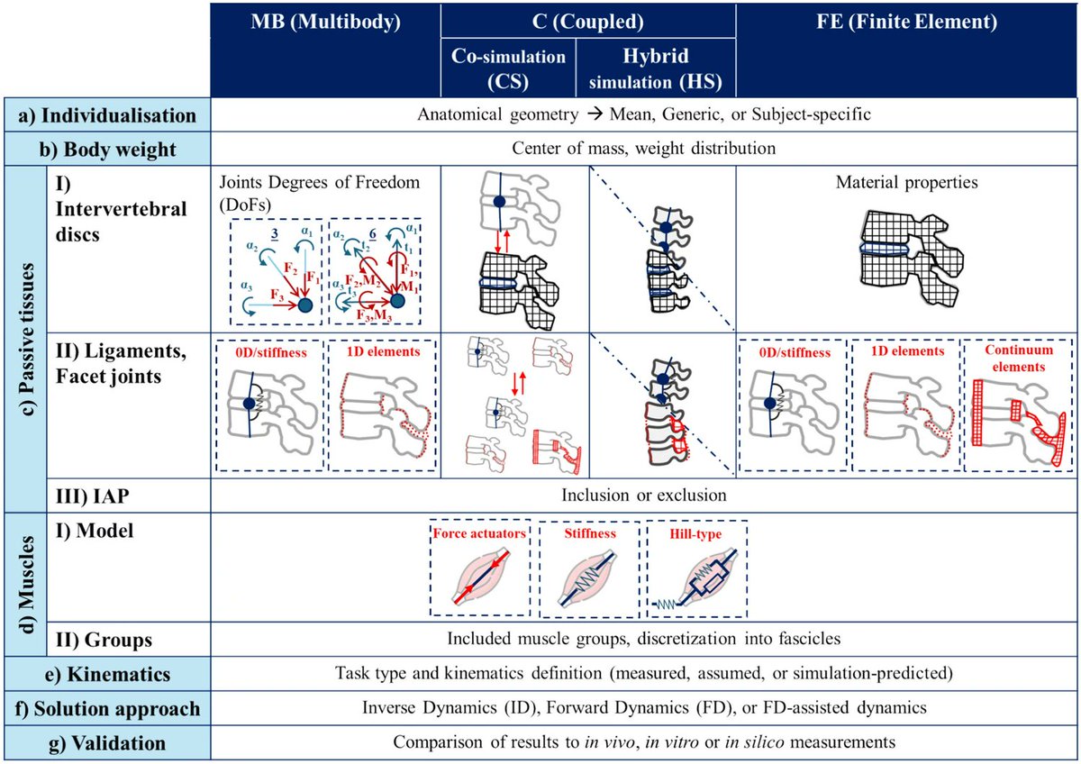 ABMEjournal's tweet image. Keeping the spine healthy depends on understanding how its muscles, joints, and tissues work together to support the body in motion.

A team of researchers wrote a review that synthesizes recent advances in thoracolumbar musculoskeletal modeling, comparing multibody models,…