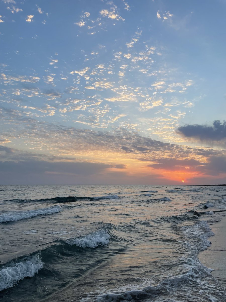 Cedric’in dəftəri tweet media