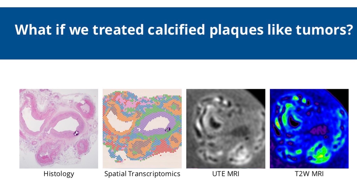 Trisha L. Roy MD PhD FACS tweet media