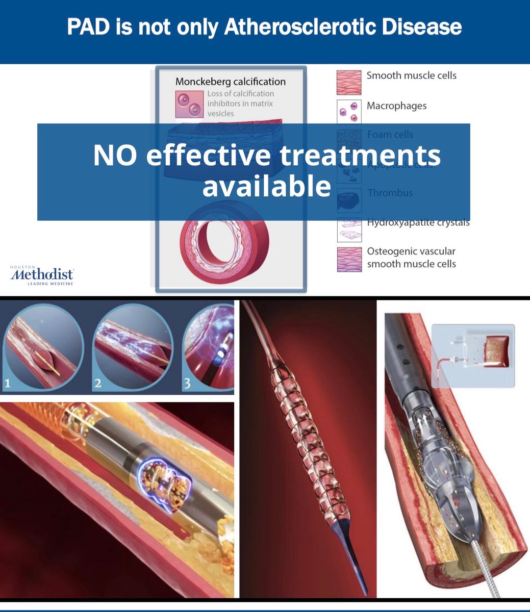 Trisha L. Roy MD PhD FACS tweet media