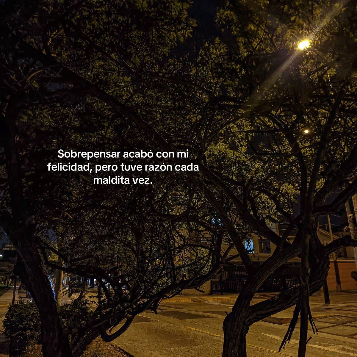 sad (@isadtuit) on Twitter photo 