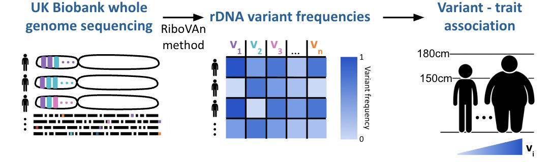 Daphna Rothschild tweet media