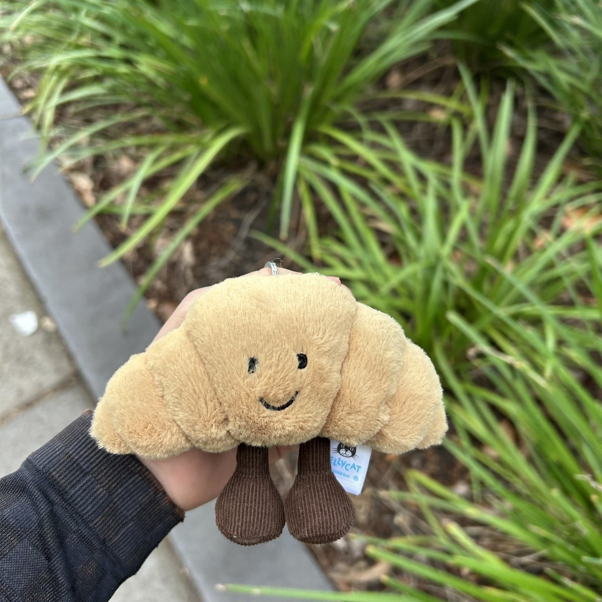 eisabyss's tweet image. me and oscar pastry will attempt to run to albert park