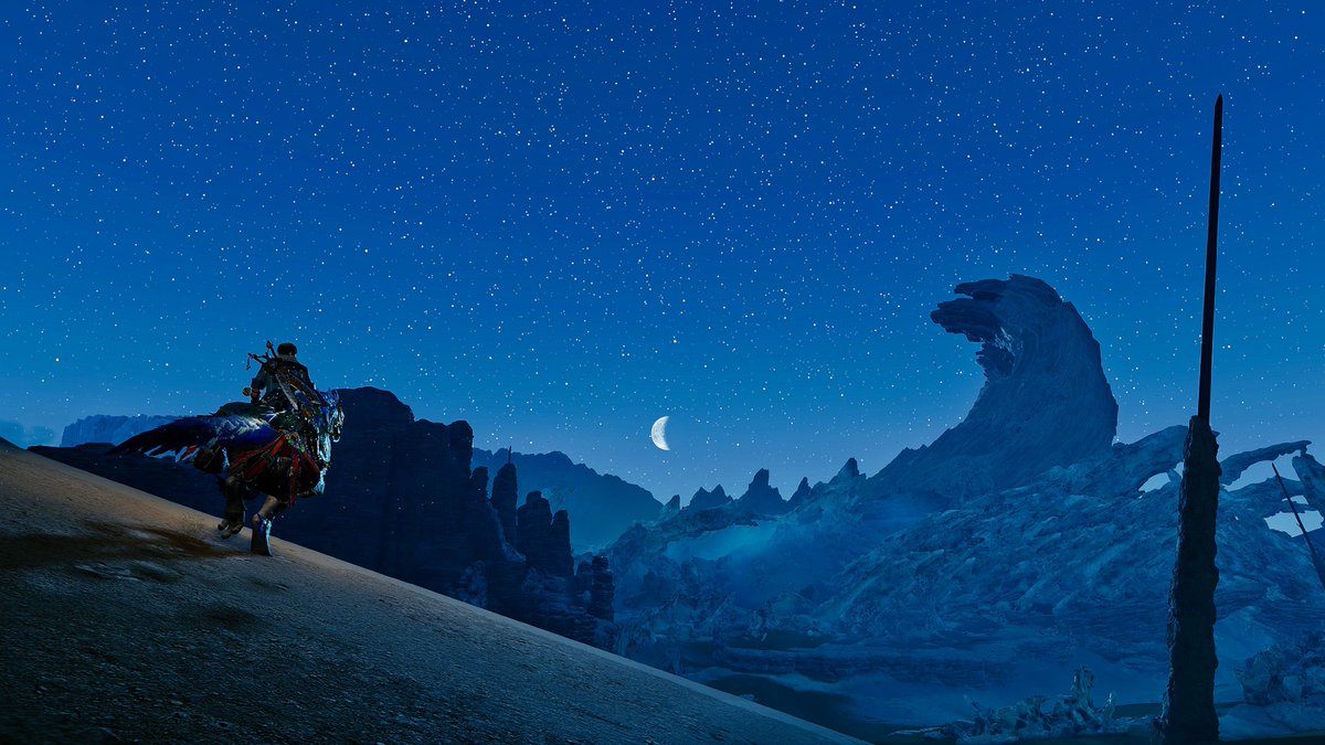 _rNonchalant's tweet image. #MHWilds #PCShare