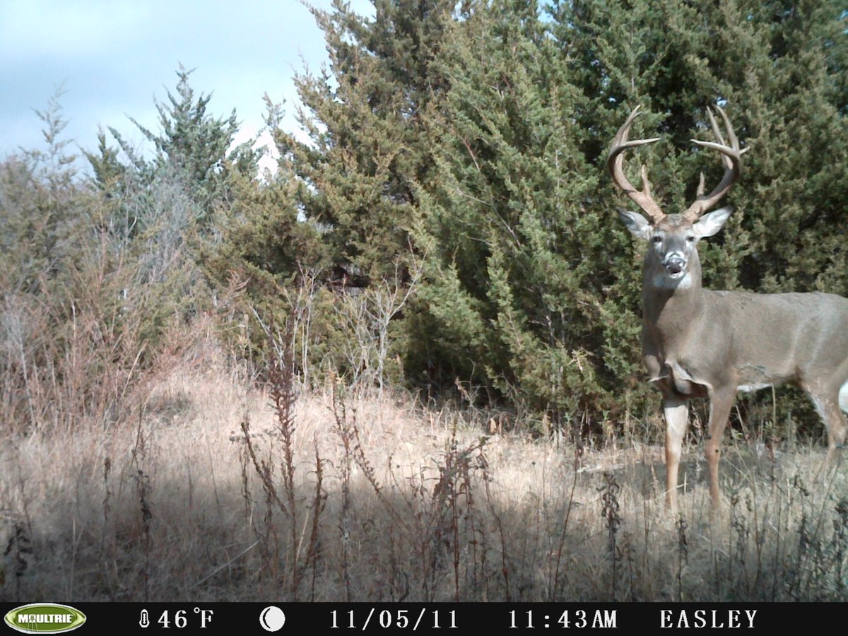 JTHFarms (@jthfarms) on Twitter photo 