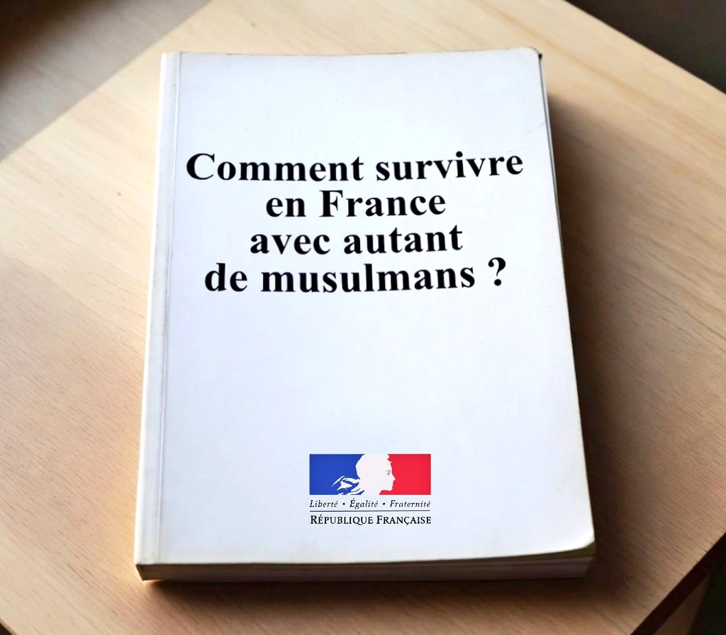 🚨🇫🇷 FLASH - Les français vont recevoir un manuel de survie en cas de conflit.
