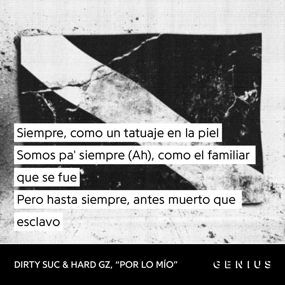 rm🦇 tweet media