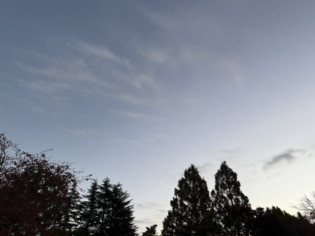 MSP_PiPi_san's tweet image. おはようございます☀
#イマソラ #ランニング #朝ラン #マラソン