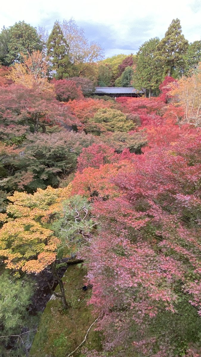 一昨日は、紅葉狩り