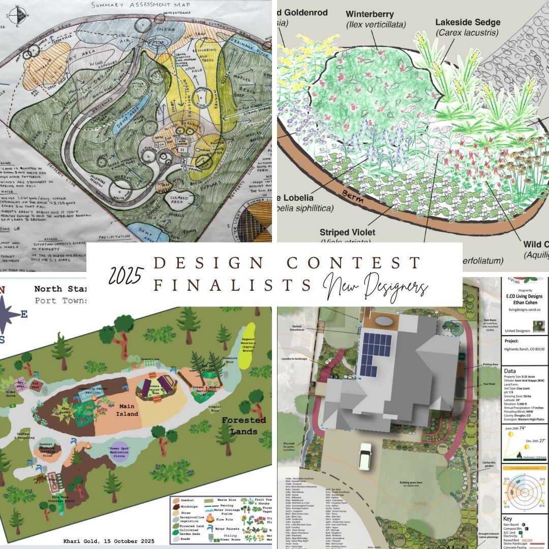 Permaculture_NA's tweet photo. Meet the 2025 PINA Design Contest Finalists! 🌱
Ethan Cohen, North Star Grove, Megan Gilger, and Skip Shuda.
Four powerful beginner permaculture projects shaping a regenerative future.
Member voting open through Dec 15. https://t.co/1AkoequZgw https://t.co/E6fH0aJjA5