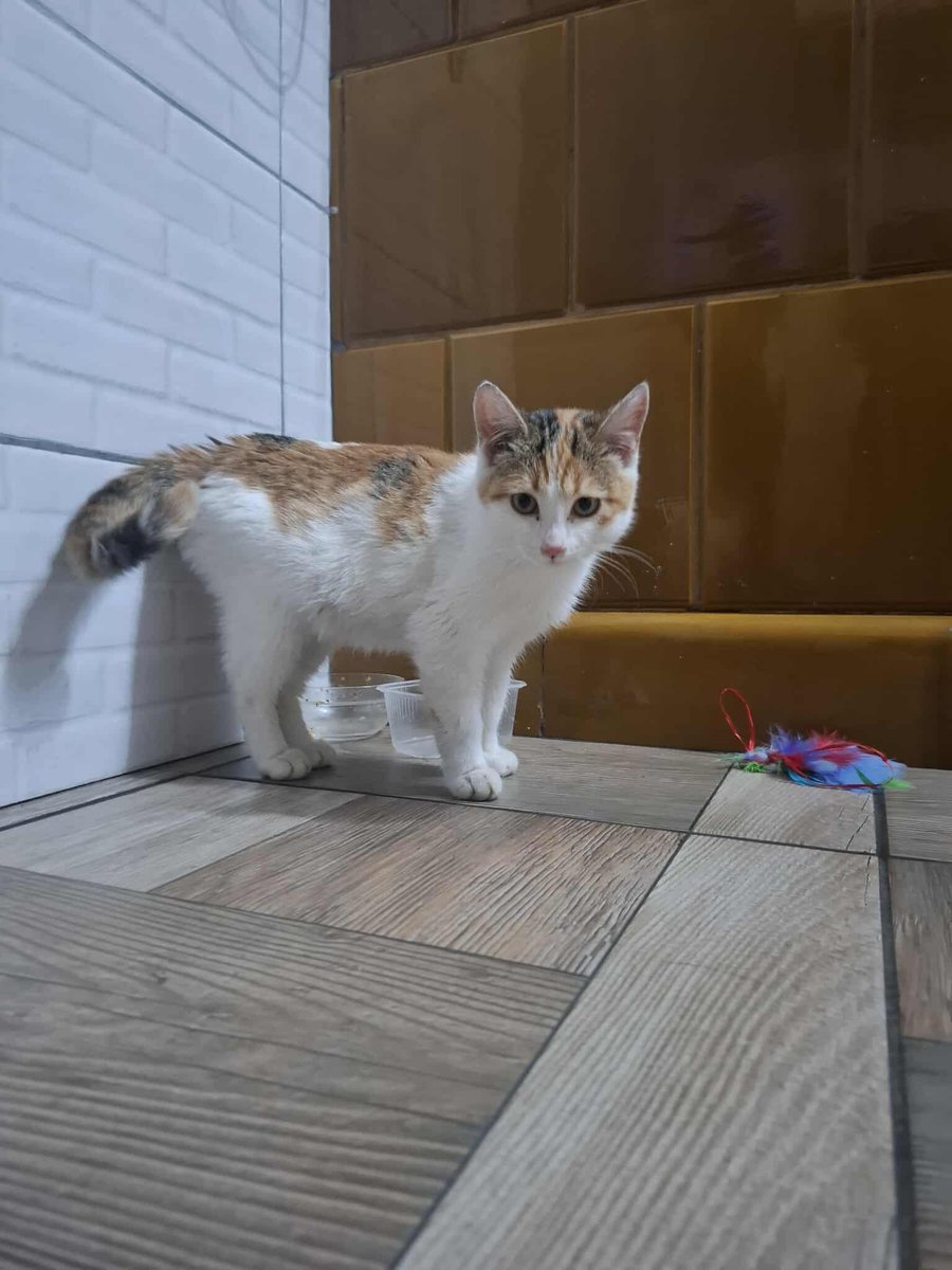 Techuuu1's tweet image. Słodka jest hahha