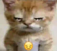 awmikasa's tweet image. when the ride giver needs a ride and everyone is suddenly busy/doesn’t respond 😔😔😔 it hurts man 😔😔😔