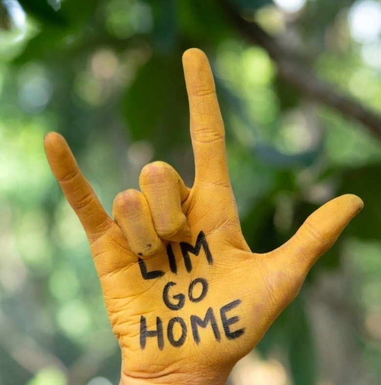 Hace tiempo que no os digo nada. Bona nit.