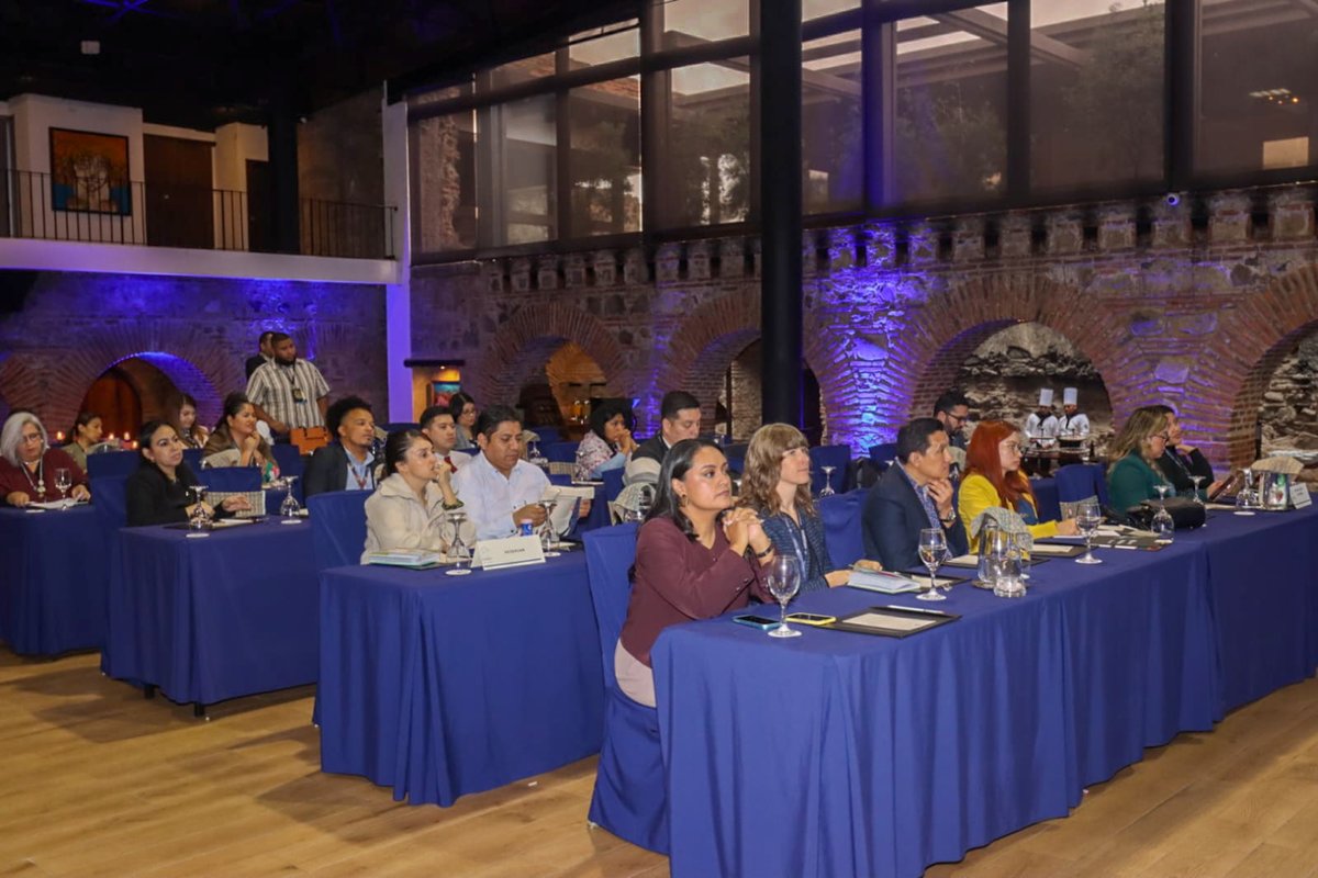 OIMGuatemala's tweet image. En representación de @OIM_LAC, @TimHHowe , Especialista Senior en Protección, compartió la conferencia: “Principios y Directrices sobre #TratadePersonas, #Migración y Derechos Humanos: Buenas prácticas en la protección y reintegración sostenible de las víctimas. Este espacio…