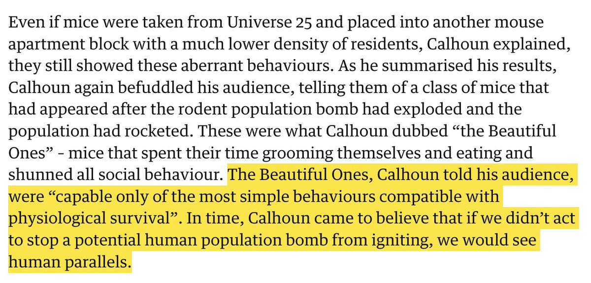 NoahRyanCo's tweet image. Looksmaxxing is the final stage of Calhoun&apos;s mouse utopia. When all the beta mice had nothing to live for so they compulsively groomed themselves in isolation. Not looking good.