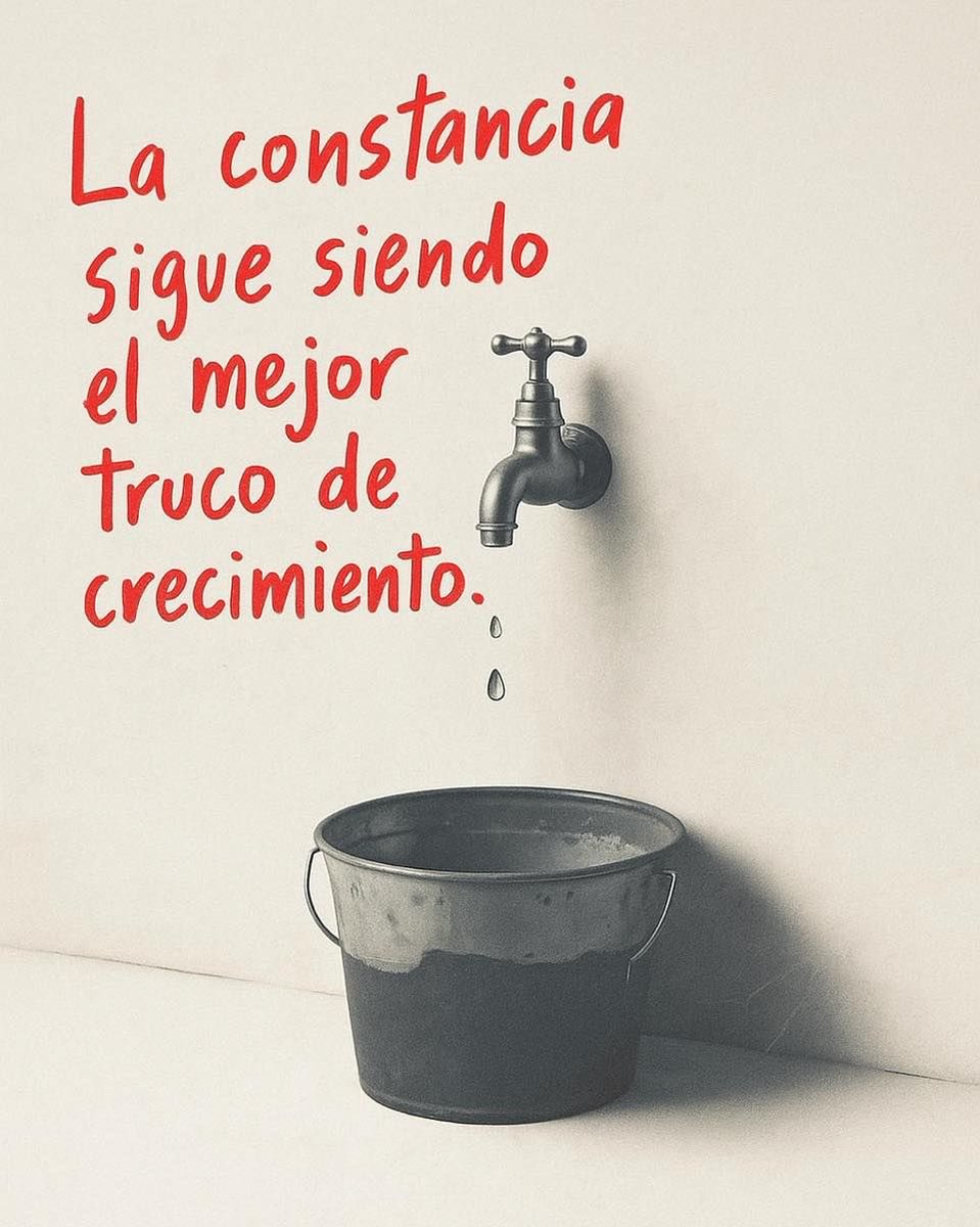 Disciplina (@eligedisciplina) on Twitter photo 